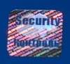 Голограмма 3D "Security Контроль"